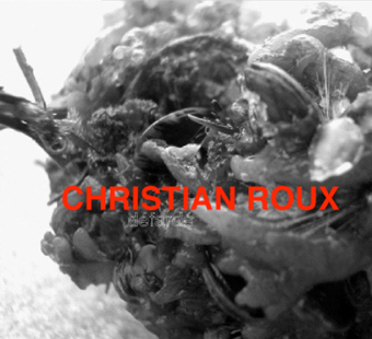 Christian Roux - Dfard [MP3]